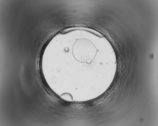 X0000116600299201001221303