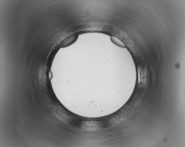 X0000116600300201001221303