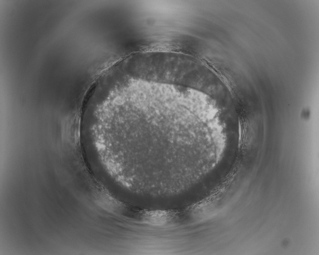X0000116600301201001221303