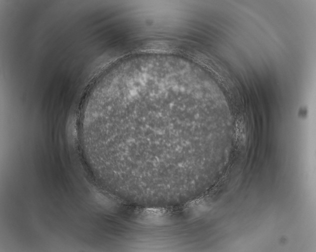 X0000116600302201001221303
