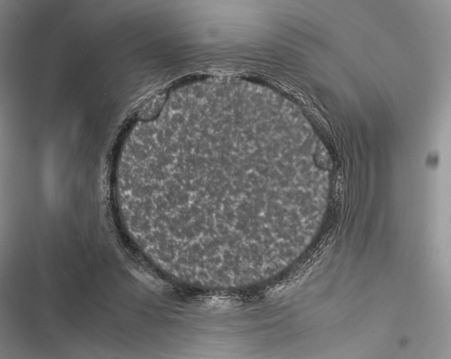 X0000116600303201001221303