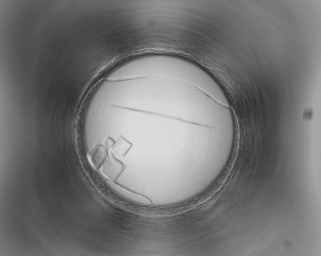 X0000116600304201001221303