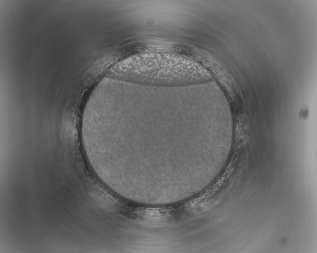 X0000116600305201001221303
