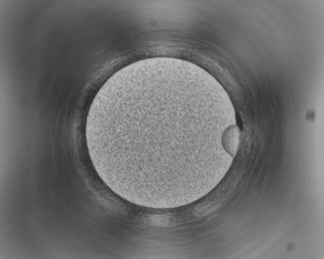 X0000116600306201001221303