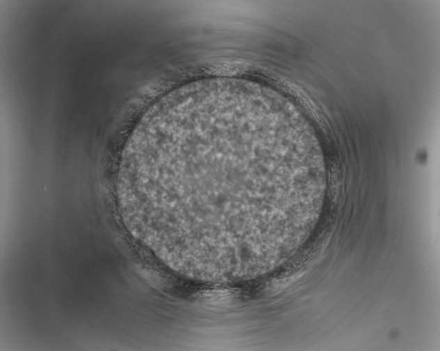 X0000116600307201001221303