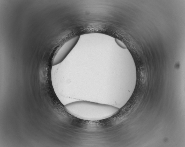 X0000116600308201001221303