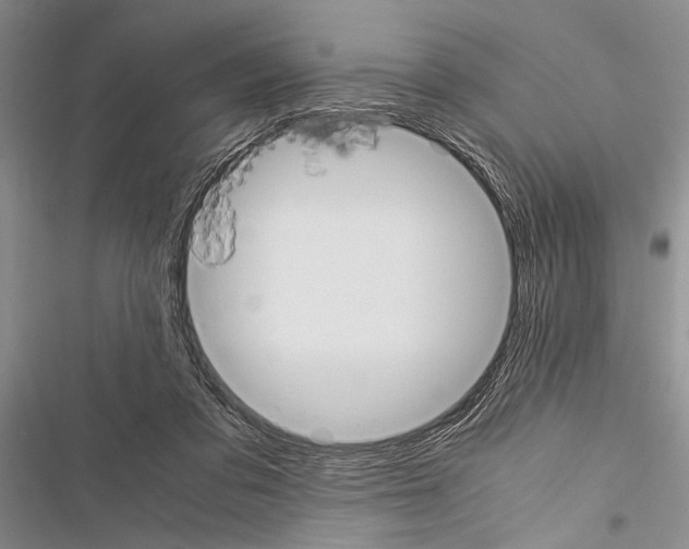 X0000116600309201001221303
