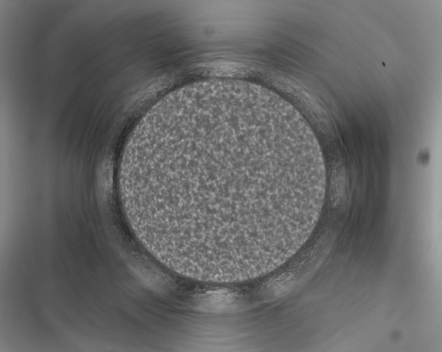 X0000116600310201001221303