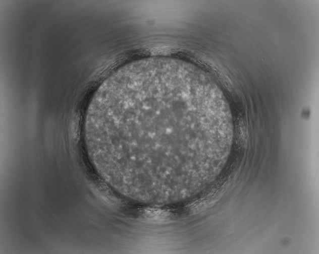 X0000116600311201001221303