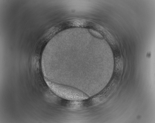 X0000116600313201001221303