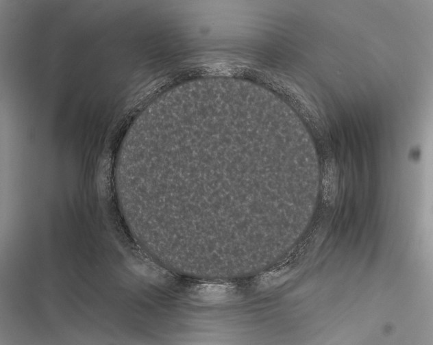 X0000116600314201001221303