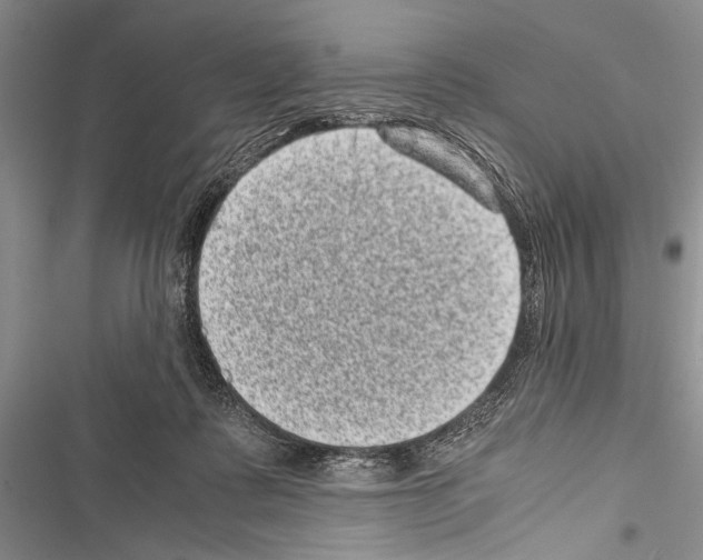 X0000116600315201001221303