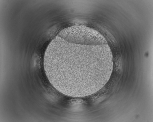 X0000116600316201001221303