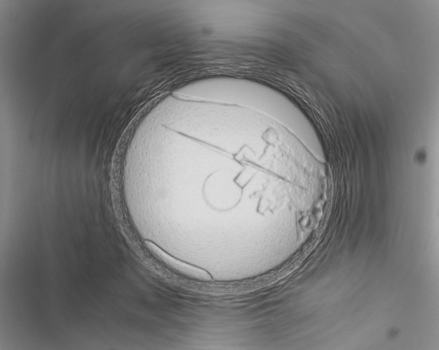 X0000116600317201001221303