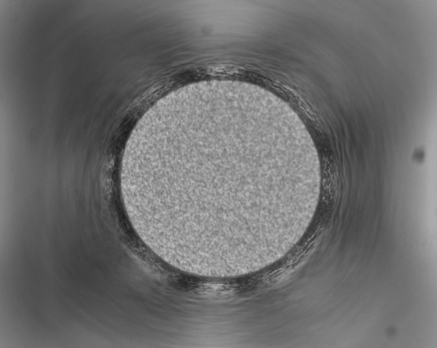 X0000116600319201001221303