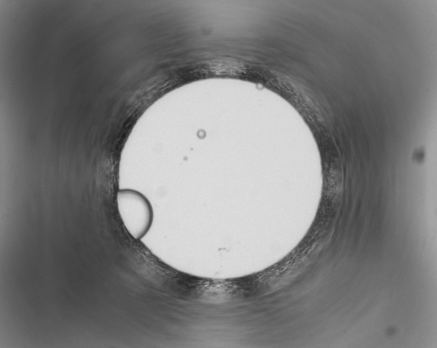 X0000116600321201001221303