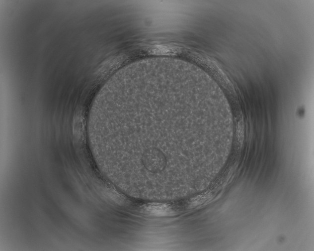 X0000116600322201001221303