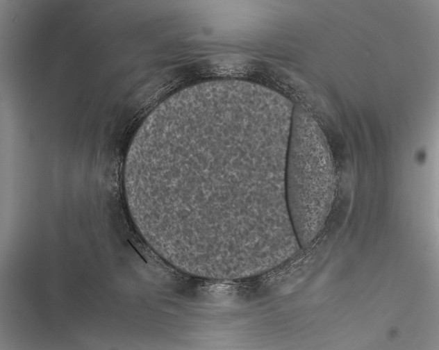 X0000116600325201001221303