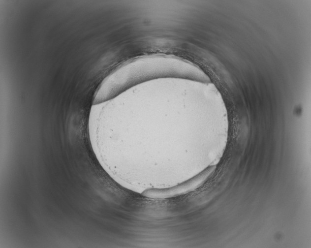 X0000116600328201001221303