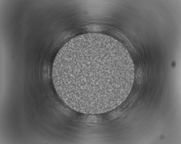 X0000116600330201001221303