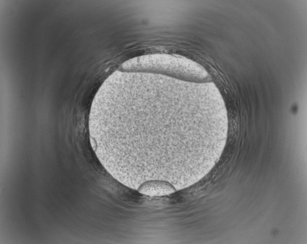 X0000116600331201001221303