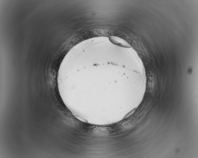 X0000116600332201001221303