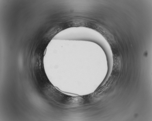 X0000116600333201001221303