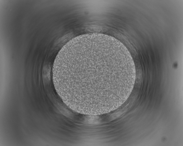 X0000116600334201001221303