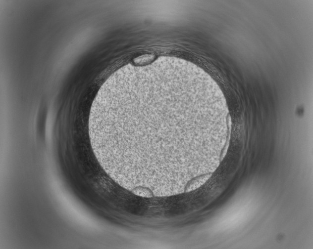X0000116600335201001221303