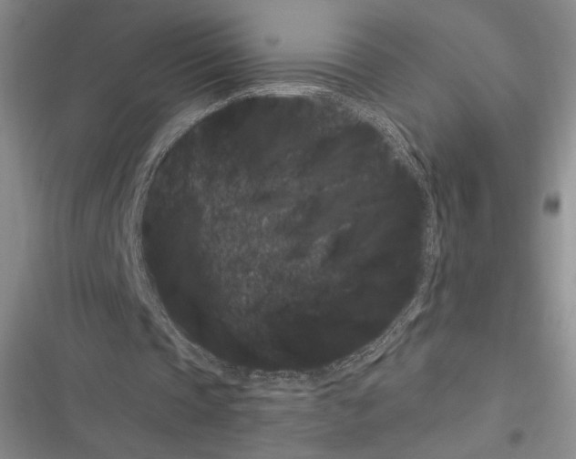 X0000116600337201001221302