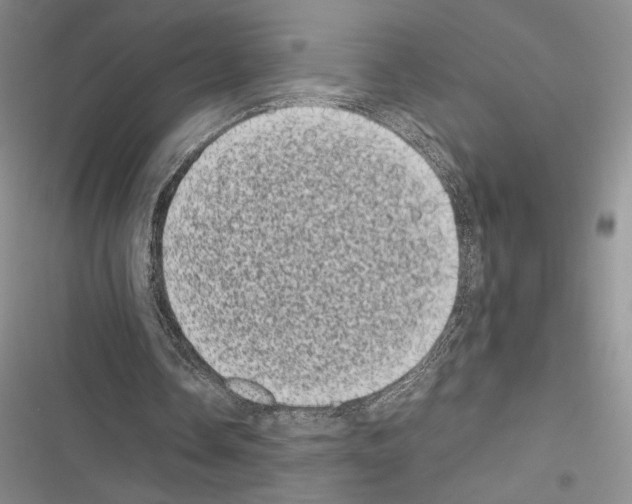 X0000116600338201001221302
