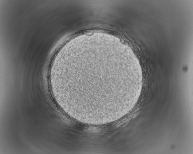 X0000116600341201001221302