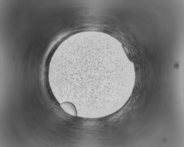 X0000116600342201001221302