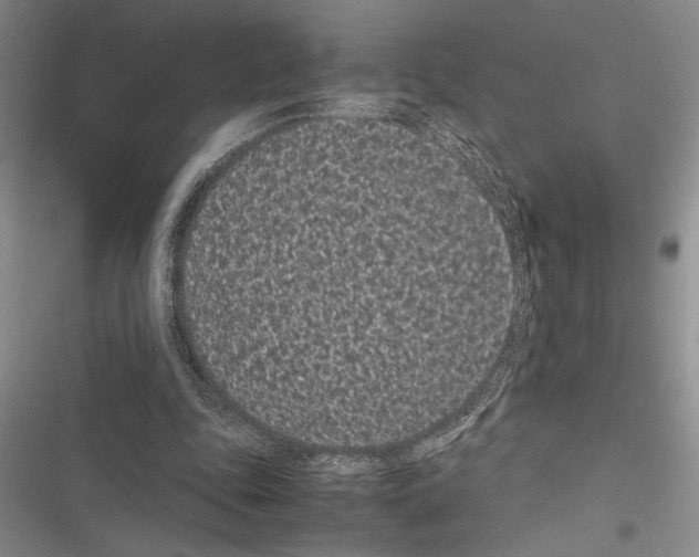 X0000116600343201001221302
