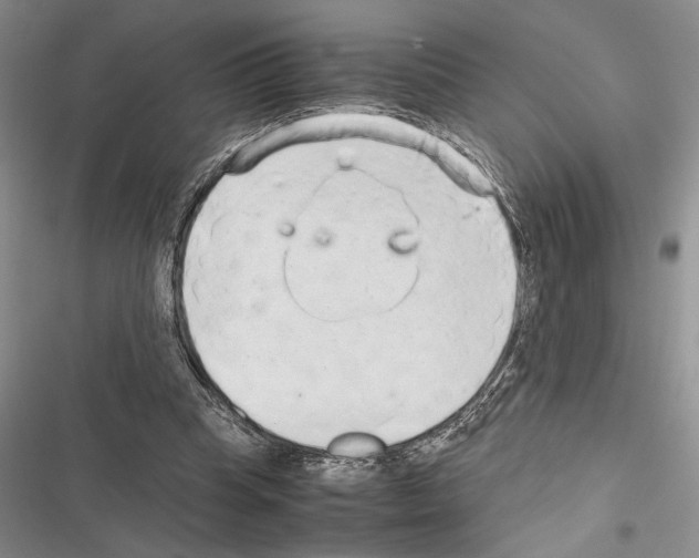 X0000116600345201001221302