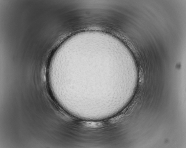 X0000116600347201001221302