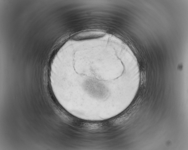 X0000116600349201001221302