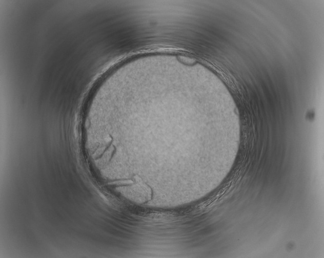 X0000116600350201001221302