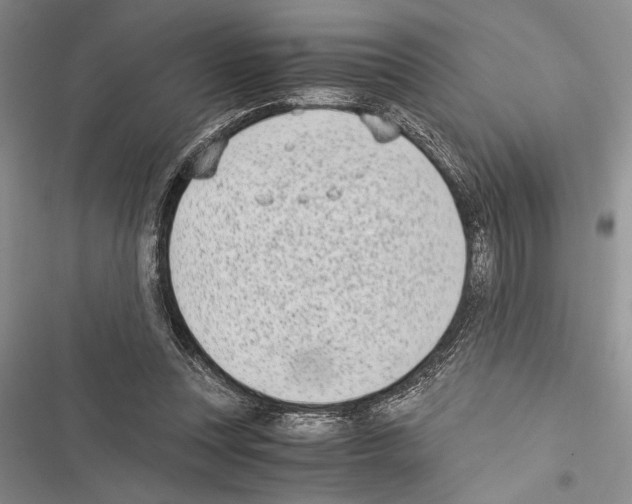 X0000116600351201001221302