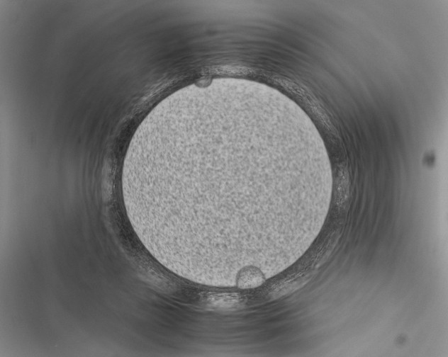 X0000116600355201001221302