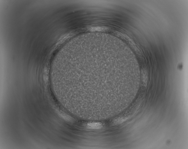 X0000116600357201001221302