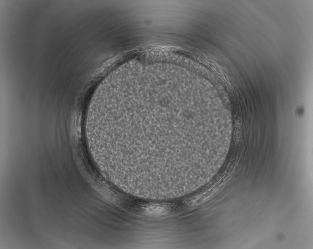 X0000116600358201001221302