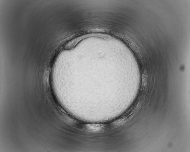 X0000116600359201001221302