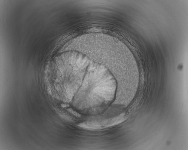 X0000116600361201001221302
