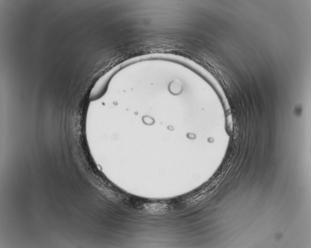 X0000116600362201001221302