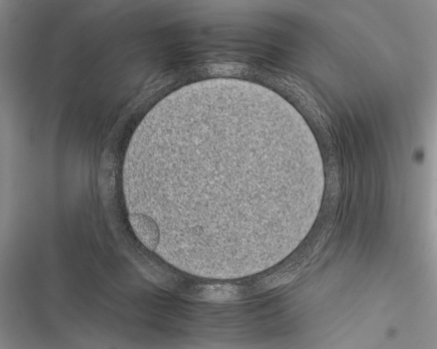 X0000116600363201001221302