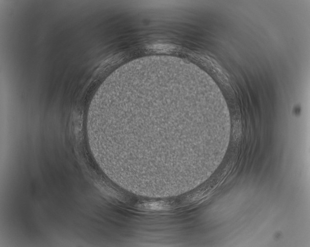 X0000116600365201001221302