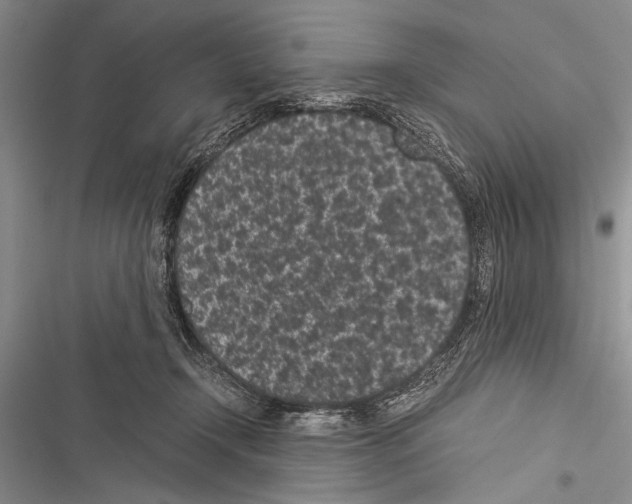 X0000116600366201001221302
