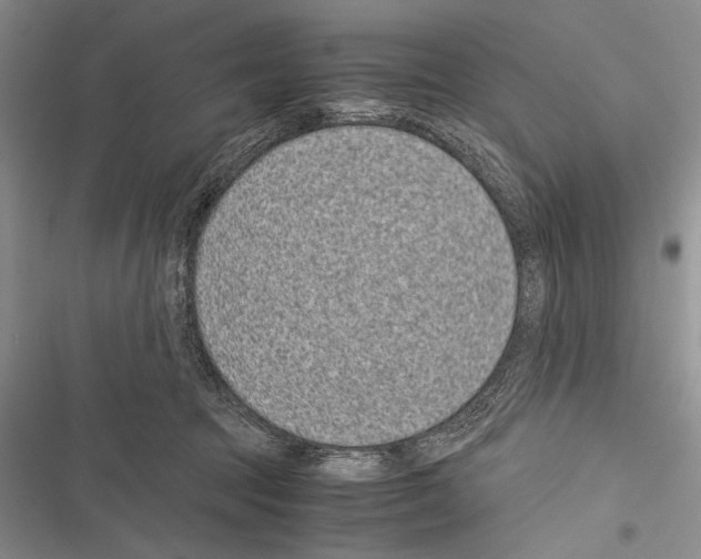 X0000116600369201001221303