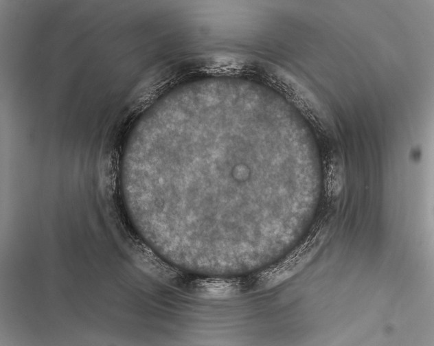 X0000116600370201001221303